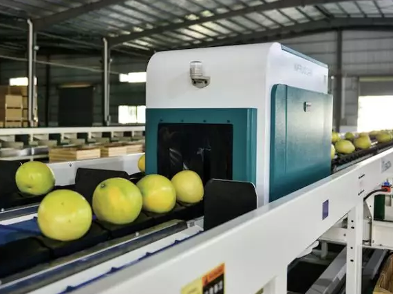 綠萌是柚子分選設備國家高新技術企業(yè)，可進行重量、大小、顏色、瑕疵外觀視覺分選，無損檢測糖度，甜度，酸度、空心、浮皮、褐變、果肉損傷、霉心病等內部指標，提供智能全自動蜜柚分選機,蜜柚分選設備,蜜柚選果機,蜜柚選果設備,蜜柚分級機,沙田柚分揀機,柚子大小稱重分選方案和價格