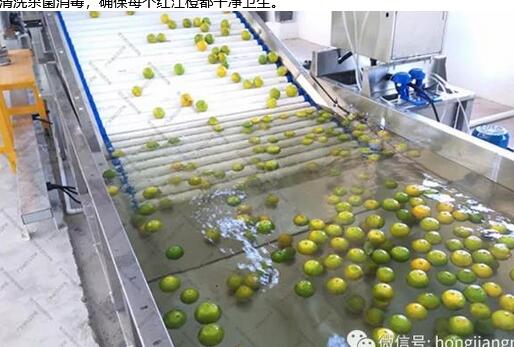 綠萌是紅江橙智能分選設(shè)備國家高新技術(shù)企業(yè),對紅江橙采后處理提供全套解決方案。綠萌紅江橙分選機可進行大小重量分級、外觀顏色分選、內(nèi)部品質(zhì)糖度檢測。提供全自動紅江橙分選設(shè)備,紅江橙選果機,智能紅江橙分選機,全自動紅江橙分選機,紅江橙分級機,小型紅江橙分選機，紅江橙分級機,紅江橙稱重分選機,紅江橙重量分選機,紅江橙大小分選機,紅江橙顏色分選機,紅江橙糖度分選機,配套紅江橙清洗機、紅江橙洗果保鮮機、紅江橙包裝機、紅江橙消毒滅菌殺菌機,紅江橙打蠟機。更多紅江橙分選方案報價,小型紅江橙選果設(shè)備價格、紅江橙分級機怎么樣、口碑好質(zhì)量好的紅江橙選果機、了解高性能紅江橙分選機多少錢,咨詢客服免費獲取