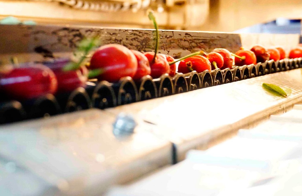 綠萌是大櫻桃智能分選設(shè)備國家高新技術(shù)企業(yè),對大櫻桃采后處理提供全套解決方案。綠萌大櫻桃分選機可進行大小分級、外觀顏色分選。提供全自動大櫻桃分選設(shè)備,大櫻桃選果機,智能大櫻桃分選機,全自動大櫻桃分選機,大櫻桃分級機,小型大櫻桃分選機，大櫻桃大小分選機,大櫻桃顏色分選機,更多大櫻桃分選方案報價,小型大櫻桃選果設(shè)備價格、大櫻桃分級機怎么樣、口碑好質(zhì)量好的大櫻桃選果機、了解高性能大櫻桃分選機多少錢,咨詢客服免費獲取