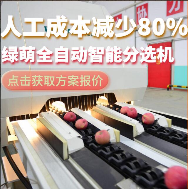 綠萌是水果智能分選設(shè)備國家高新技術(shù)企業(yè),對水果采后處理提供全套解決方案。綠萌水果分選機(jī)可進(jìn)行大小重量分級、外觀顏色分選、內(nèi)部品質(zhì)糖度檢測。提供全自動水果分選設(shè)備,水果選果機(jī),智能水果分選機(jī),全自動水果分選機(jī),水果分級機(jī),小型水果分選機(jī)，水果分級機(jī),水果稱重分選機(jī),水果重量分選機(jī),水果大小分選機(jī),水果顏色分選機(jī),水果糖度分選機(jī),配套水果清洗機(jī)、水果洗果保鮮機(jī)、水果包裝機(jī)、水果消毒滅菌殺菌機(jī),水果打蠟機(jī)。更多水果分選方案報價,小型水果選果設(shè)備價格、水果分級機(jī)怎么樣、口碑好質(zhì)量好的水果選果機(jī)、了解高性能水果分選機(jī)多少錢,咨詢客服免費(fèi)獲取
