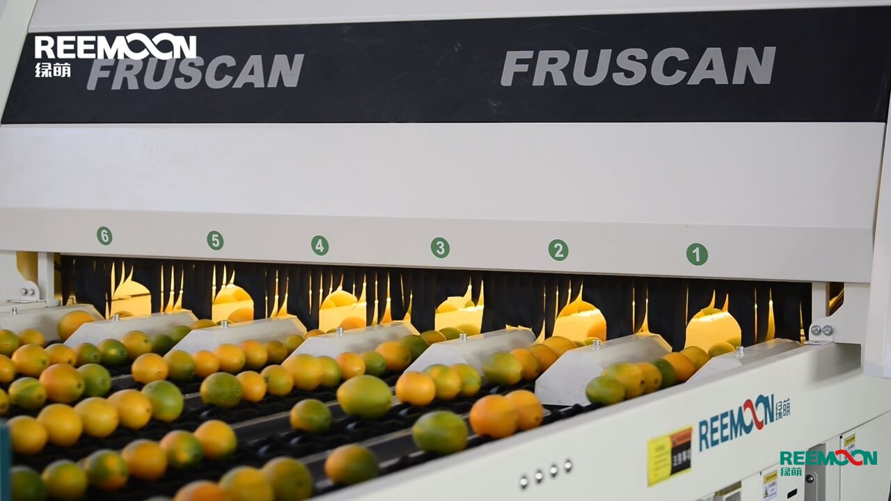 1601275061139673.jpg 分選機(jī) (1).jpg