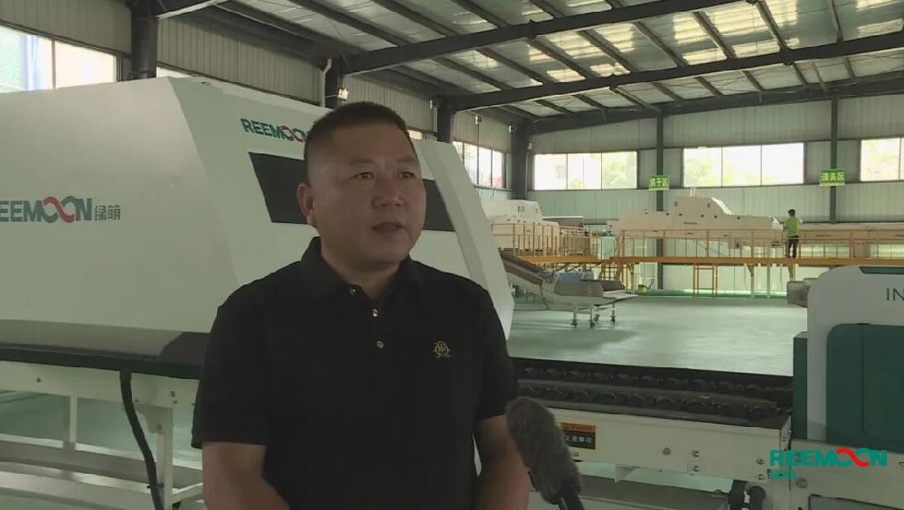 選果機(jī),綠萌水果選果機(jī)，水果選果機(jī)，綠萌選果機(jī)