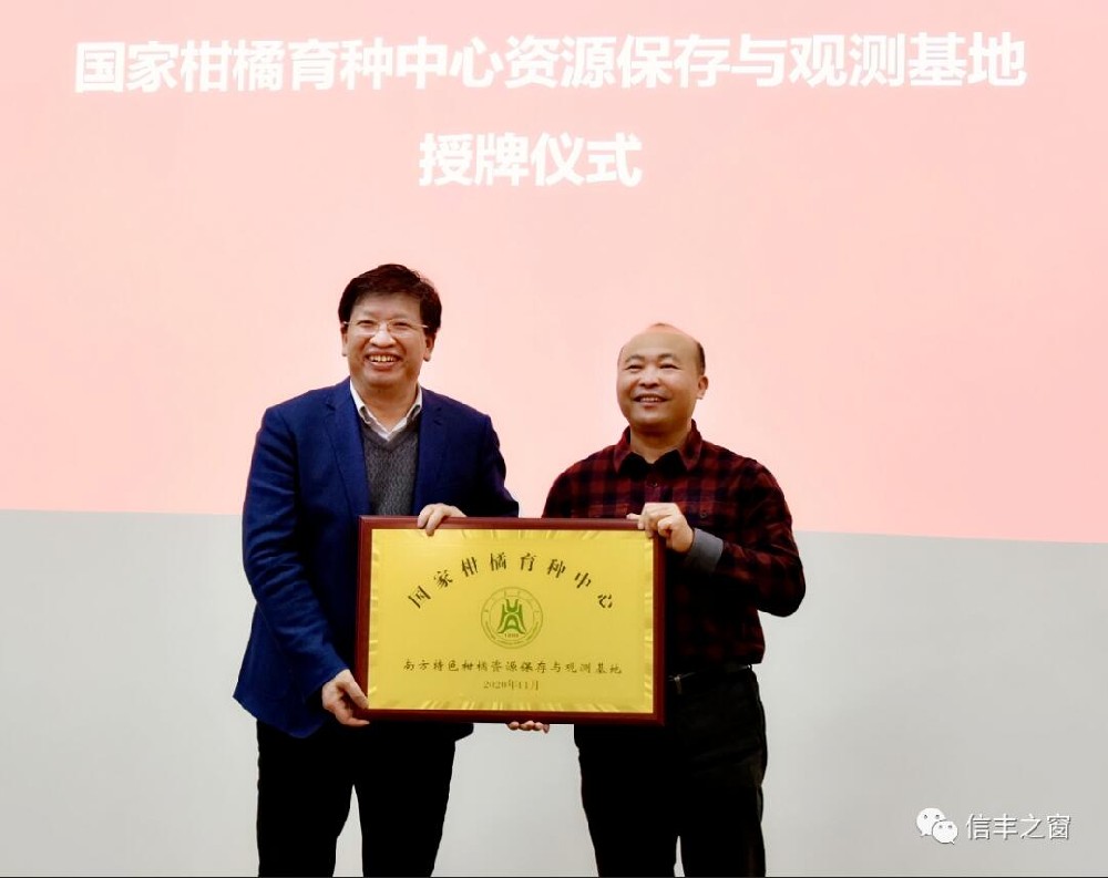 兩塊牌匾！我縣臍橙產(chǎn)業(yè)高質(zhì)量發(fā)展又上新臺(tái)階 11月30日，中國(guó)工程院副院長(zhǎng)、民盟中央副主席、中國(guó)科學(xué)技術(shù)協(xié)會(huì)副主席、國(guó)家現(xiàn)代農(nóng)業(yè)柑橘產(chǎn)業(yè)技術(shù)體系首席科學(xué)家鄧秀新帶領(lǐng)調(diào)研組來到我縣調(diào)研，并出席華中農(nóng)業(yè)大學(xué)與江西綠萌科技控股有限公司簽約儀式、“綠萌果蔬生產(chǎn)智慧裝備研究院”和“國(guó)家柑橘育種中心南方特色柑橘資源保