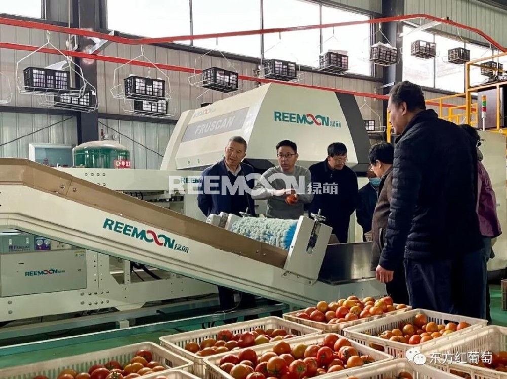 為深入實(shí)施鄉(xiāng)村振興戰(zhàn)略，貫徹落實(shí)農(nóng)業(yè)農(nóng)村部打造“一縣一業(yè)”示范。2021年1月13日上午，云南省人大常委會(huì)副主任納杰、州人大常委會(huì)主任周興國(guó)、省人大常委會(huì)委員任錦云、州人大常委會(huì)秘書長(zhǎng)張竣琿等一行在元謀縣委副書記、縣人大常委會(huì)主任周海，縣人民政府副縣長(zhǎng)張榮陪同下蒞臨云品加工廠調(diào)研。云南省人大常委會(huì)副主任納杰