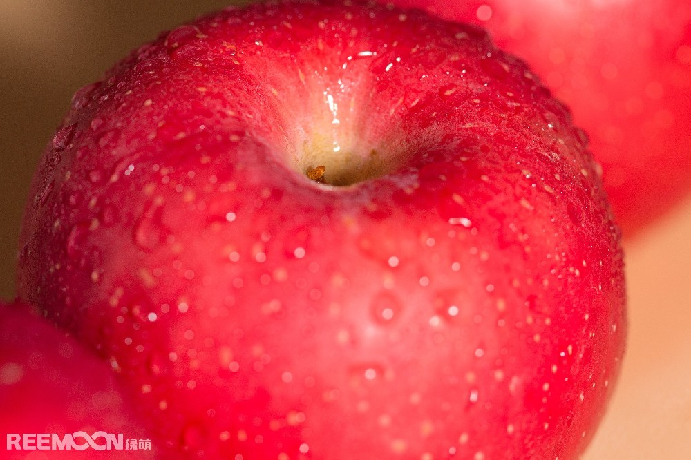 根據(jù)中國海關(guān)數(shù)據(jù)顯示，2020年我國出口鮮蘋果105.8萬噸，同比增長9%，出口額14.5億美元，同比增長16%。按出口量排序，我國鮮蘋果出口至各國數(shù)量前五位分別是：孟加拉國17.9萬噸，出口額1.8億美元；菲律賓16.8萬噸，2.1億美元；越南16.0萬噸，3.2億美元；泰國13.7萬噸，2.1億美元；印度尼西亞13.4萬噸，1.7億美元。出口至以上