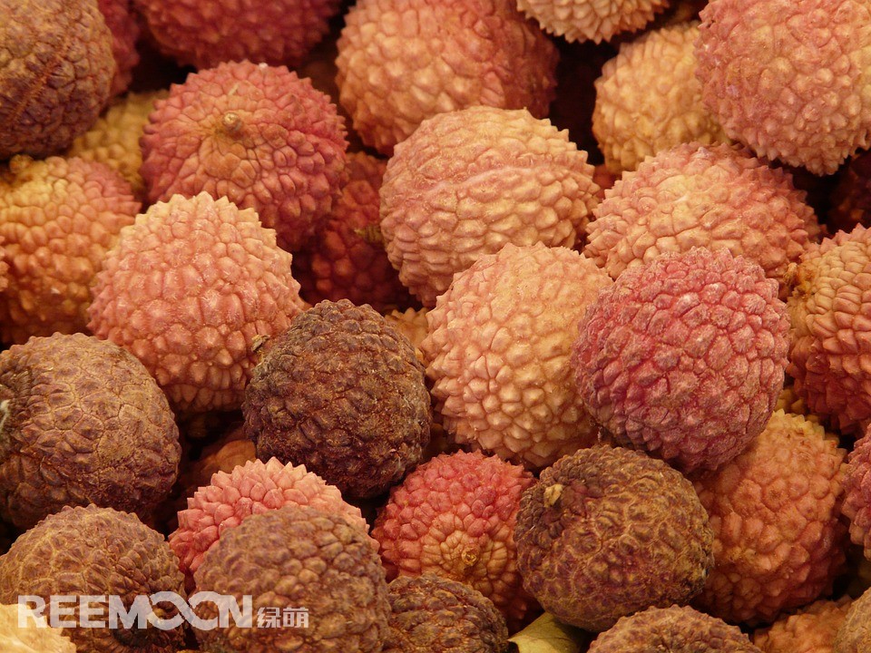 1615539199192059.jpg 荔枝.jpg