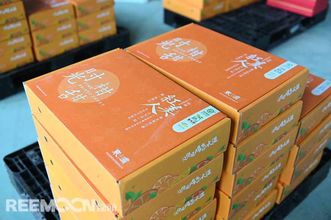 1616143826584613.jpg 3.jpg