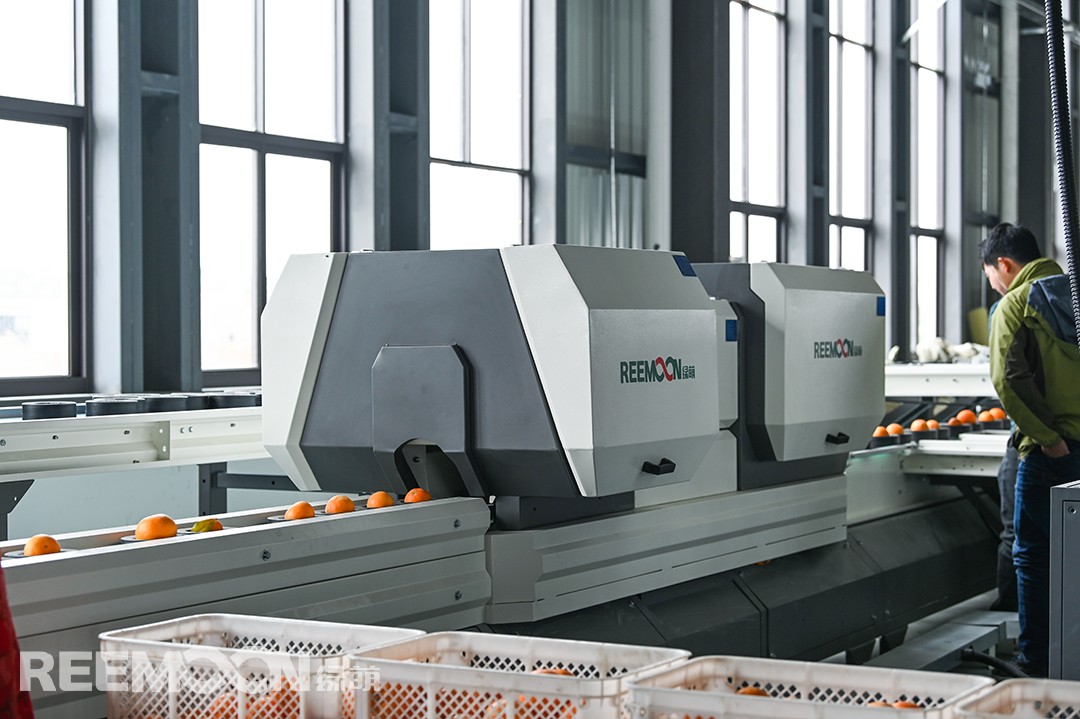 1616143844150589.jpg 6.jpg