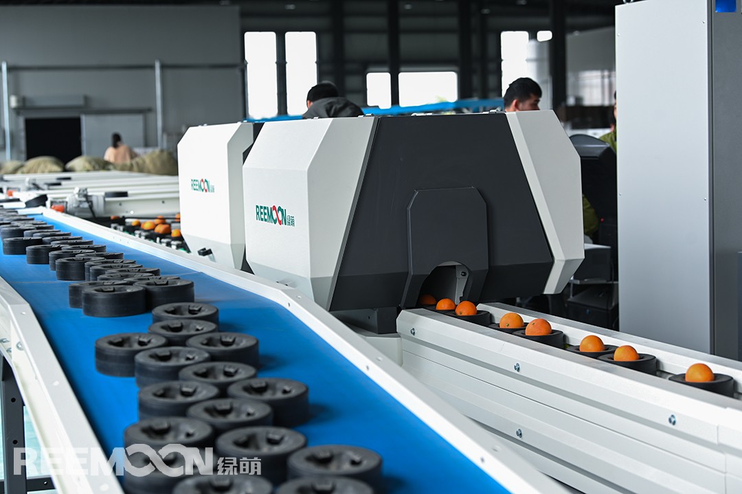 1616144157184170.jpg 4.jpg