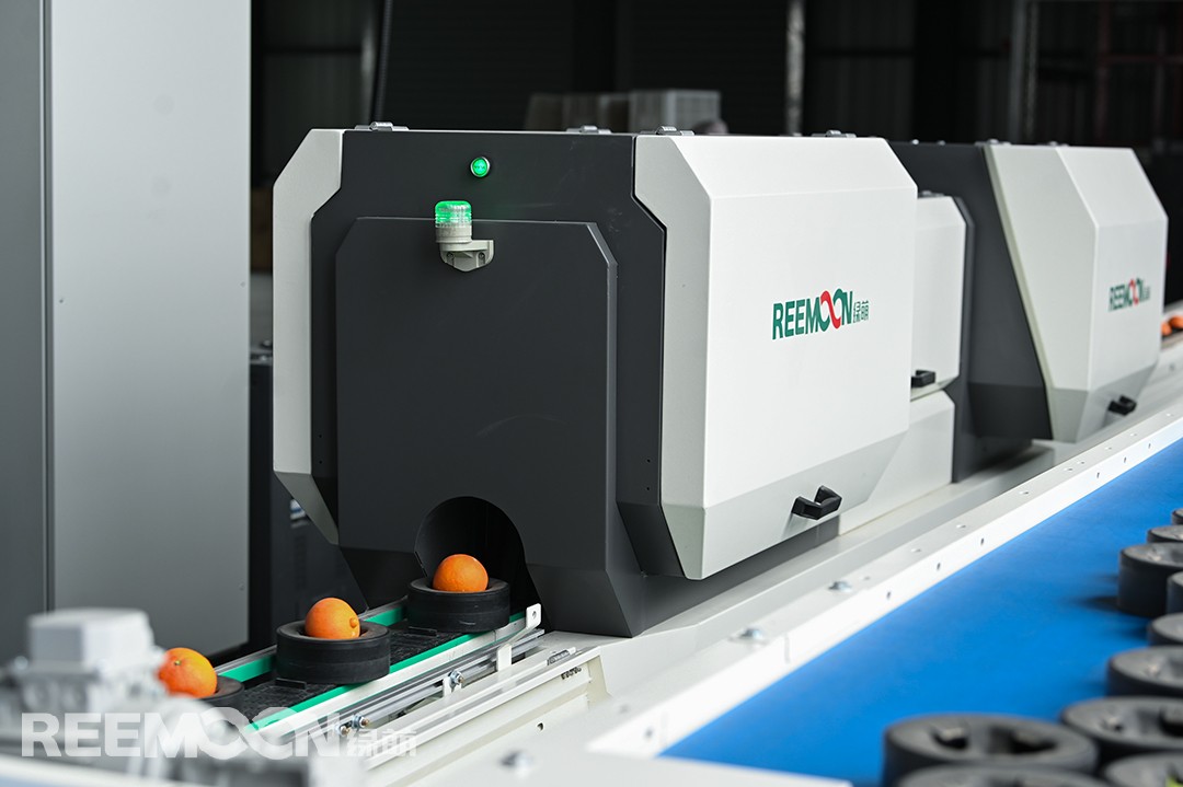 1616144179958823.jpg DSC_8289.jpg