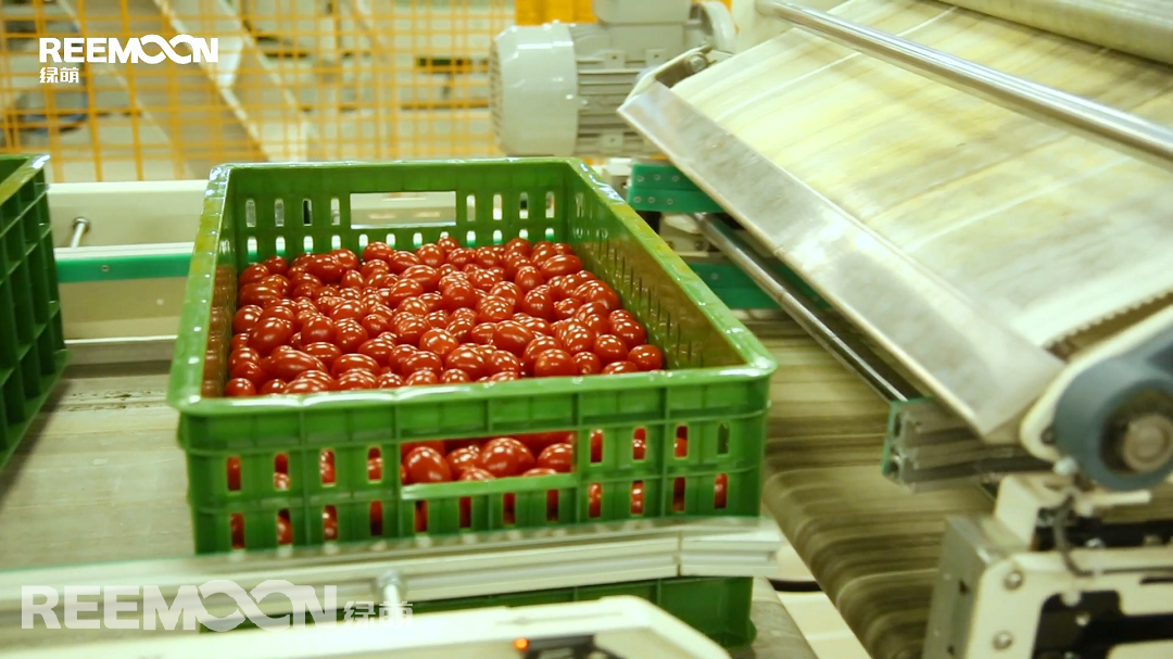 1616489901142921.png 進(jìn)料系統(tǒng).png