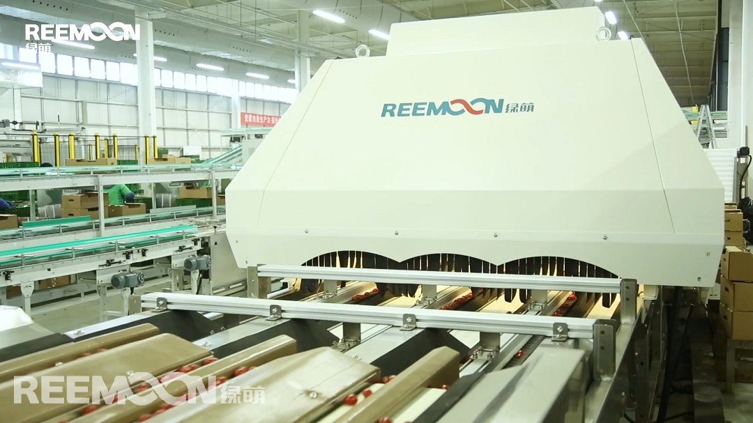 1616489927101969.png 分選系統(tǒng).png