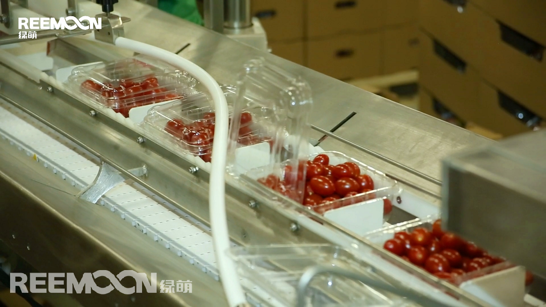 1616489972199122.png 兼容系統(tǒng).png