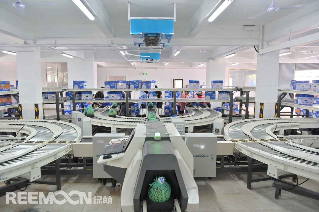 1617960286128262.jpg 6666666.jpg