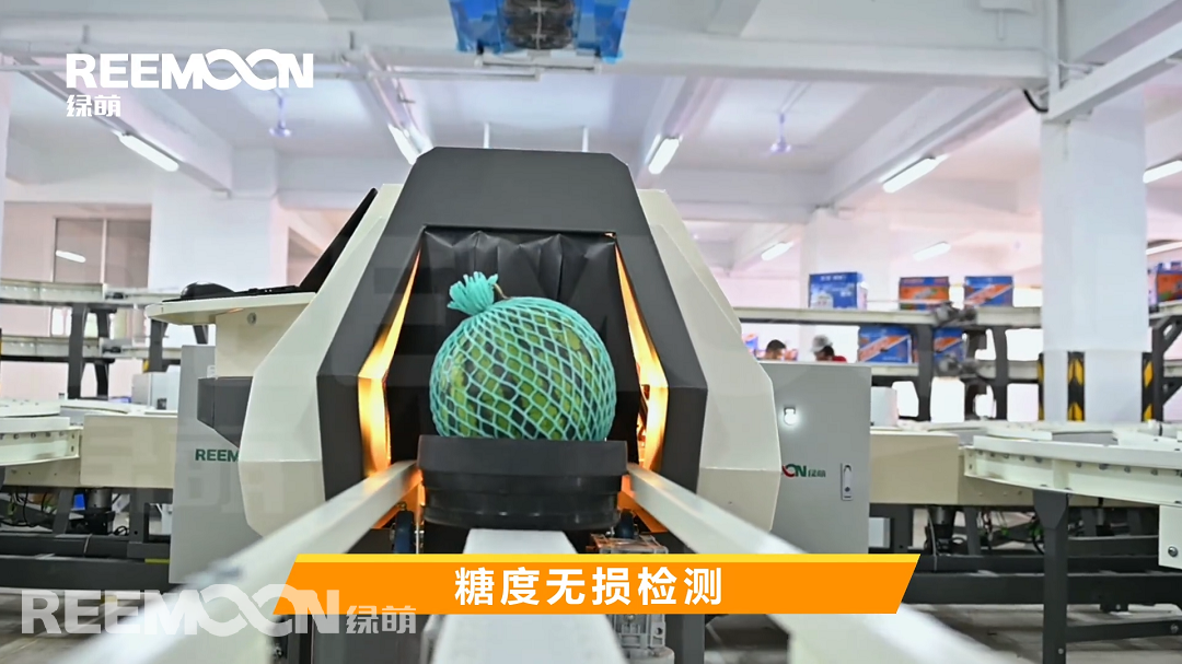 1617960298137374.png 444444444.png