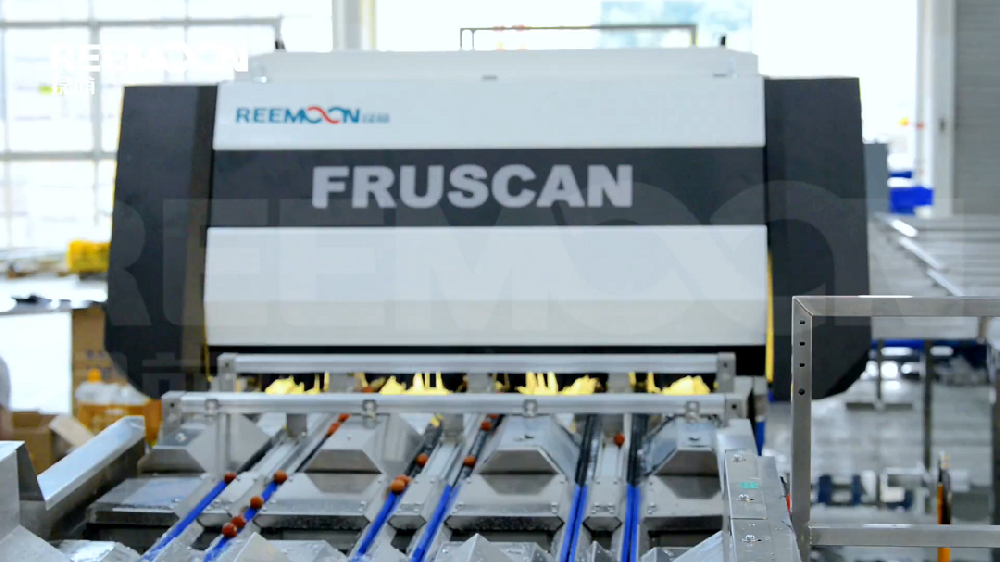 廣東是世界最大的荔枝產(chǎn)地，是種植荔枝最久的地區(qū)，已有2000多年的種植歷史，據(jù)不完全統(tǒng)計(jì)，廣東高州荔枝產(chǎn)量占全球產(chǎn)量的十分之一，素有千年荔鄉(xiāng)的美譽(yù)。廣東致力打造全國(guó)最強(qiáng)的荔枝產(chǎn)業(yè)集群，從生產(chǎn)、加工、銷(xiāo)售，到文化創(chuàng)意、休閑旅游等方面，已形成了較完整的產(chǎn)業(yè)鏈隨著新時(shí)代的發(fā)展，中國(guó)果蔬消費(fèi)水平不斷提高，