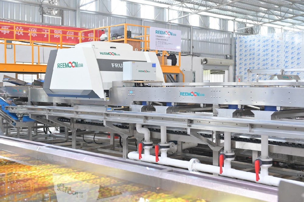 以“‘荔’促產(chǎn)業(yè)興，助‘荔’新發(fā)展”為主題的荔枝產(chǎn)業(yè)大會(huì)在茂名成功舉辦。共同探討廣東荔枝高品質(zhì)發(fā)展。標(biāo)準(zhǔn)化生產(chǎn)是實(shí)現(xiàn)品質(zhì)提升的具體手段。推動(dòng)荔枝標(biāo)準(zhǔn)化生產(chǎn)，不僅從全產(chǎn)業(yè)鏈提升農(nóng)產(chǎn)品質(zhì)量，還將全面提升荔枝價(jià)值鏈。為了進(jìn)一步推動(dòng)荔枝標(biāo)準(zhǔn)化生產(chǎn)，茂名市發(fā)布了《茂名市網(wǎng)上銷(xiāo)售荔枝等級(jí)規(guī)格》，主要對(duì)茂