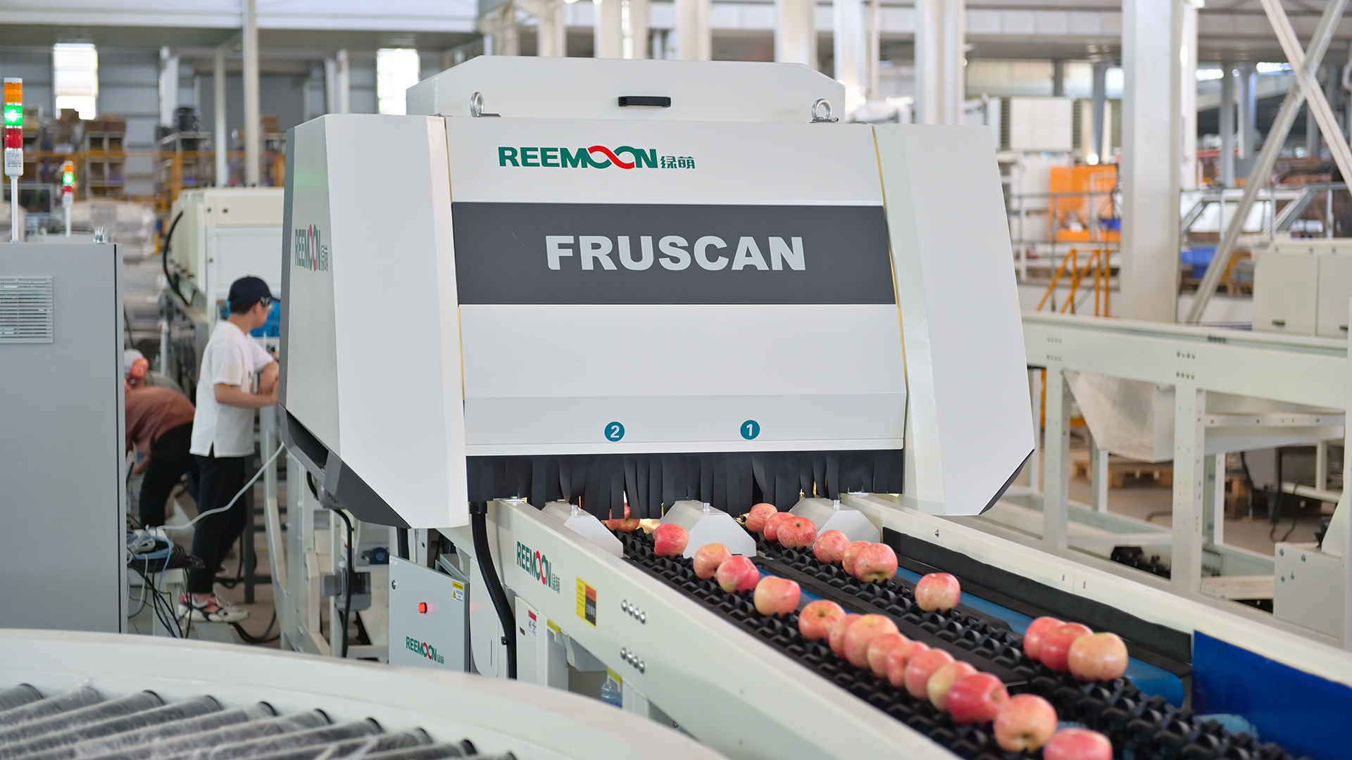 1622861436209059.jpg 蘋果視覺分選.jpg