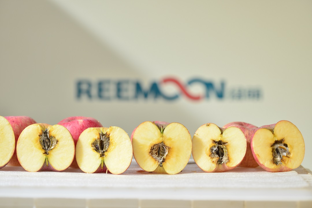 1622861464834673.jpg 綠萌內(nèi)部品質(zhì)檢測蘋果霉心.JPG