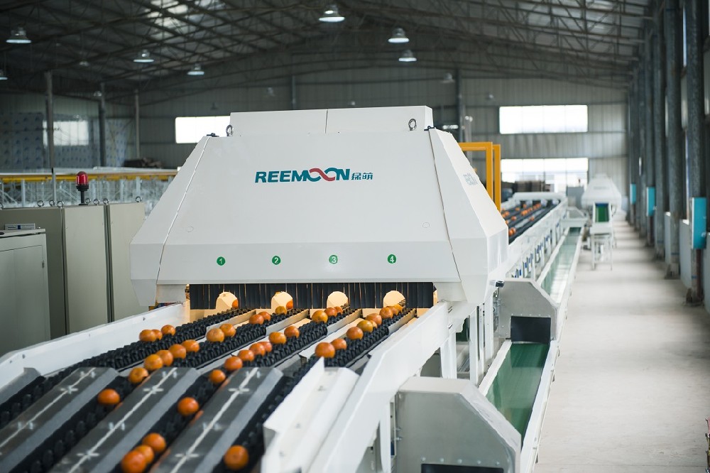 云南新平縣因獨到的立體氣候條件，“一年四季水果不斷”。近年來借勢鄉(xiāng)村物流體系，解決了農(nóng)產(chǎn)品因流通不暢而滯銷的問題，讓農(nóng)產(chǎn)品順暢進(jìn)城。在當(dāng)?shù)卣闹С窒拢腚娚?、發(fā)布采購指南、多次舉辦產(chǎn)銷對接活動等，讓產(chǎn)品不愁賣，這也極大提升了農(nóng)戶種植信心，目前，新平柑桔種植面積超過了12萬畝。隨著柑桔產(chǎn)業(yè)的快速增長