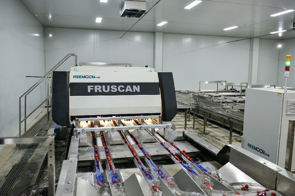 金禾天潤致力打造國內(nèi)一流的農(nóng)業(yè)品牌，鄉(xiāng)村振興戰(zhàn)略為中國農(nóng)業(yè)發(fā)展提供了全新的機(jī)遇，在全面實施鄉(xiāng)村振興戰(zhàn)略的引領(lǐng)下，金禾天潤已經(jīng)發(fā)展為一家專業(yè)從事果業(yè)全產(chǎn)業(yè)鏈生產(chǎn)經(jīng)營的現(xiàn)代農(nóng)業(yè)企業(yè)。實現(xiàn)農(nóng)業(yè)品牌定位，品種、品質(zhì)、品牌、產(chǎn)業(yè)鏈發(fā)展缺一不可，金禾引進(jìn)先進(jìn)技術(shù)培育優(yōu)質(zhì)品種，開展優(yōu)質(zhì)大櫻桃規(guī)?；a(chǎn)業(yè)化、數(shù)字化