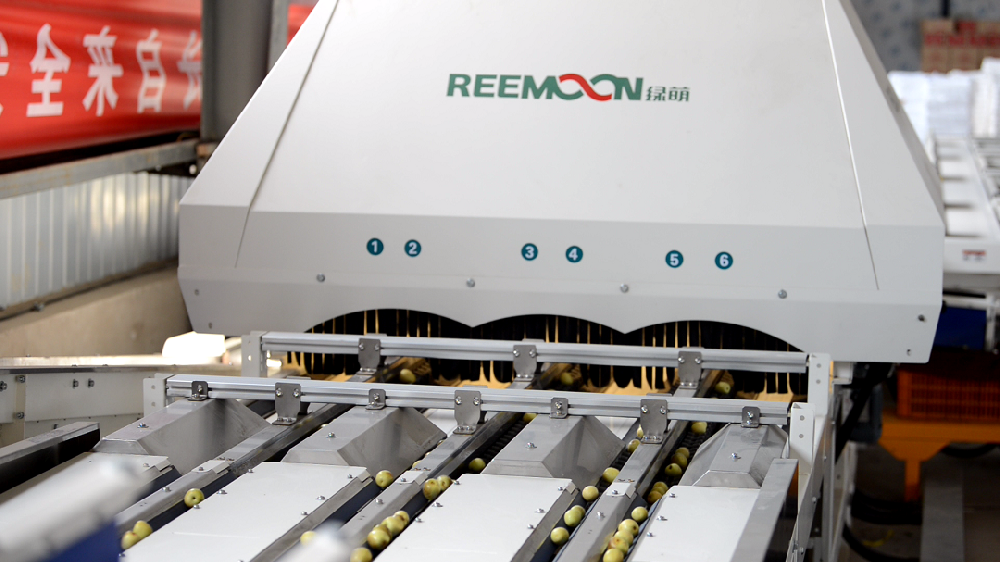 西安小船網(wǎng)絡(luò)科技有限公司（以下簡稱小船）是2013年成立的綜合性農(nóng)業(yè)產(chǎn)業(yè)鏈企業(yè)。與旗下全資公司大荔縣設(shè)施冬棗農(nóng)民專業(yè)合作社以及陜西天禾農(nóng)業(yè)開發(fā)有限公司形成高效聯(lián)動的農(nóng)業(yè)企業(yè)。目前，小船旗下的冬棗種植面積1700畝，年產(chǎn)銷冬棗達(dá)1800噸，與國內(nèi)知名水果產(chǎn)區(qū)大荔冬棗產(chǎn)區(qū)建立了深度戰(zhàn)略合作關(guān)系，建立了基地直采