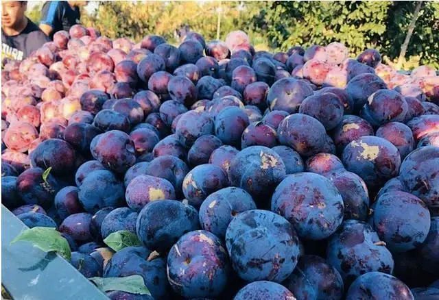 1623929251161180.jpg 2.jpg