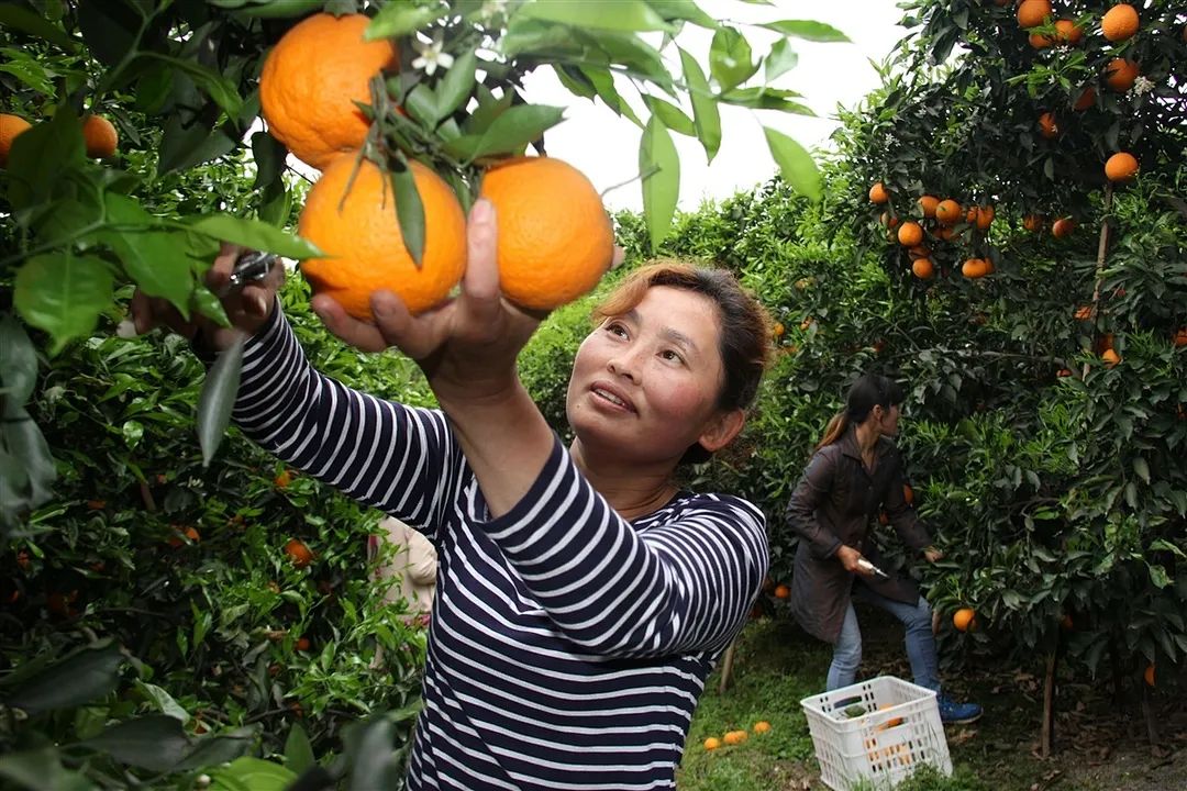 1623929381443126.jpg 5.jpg