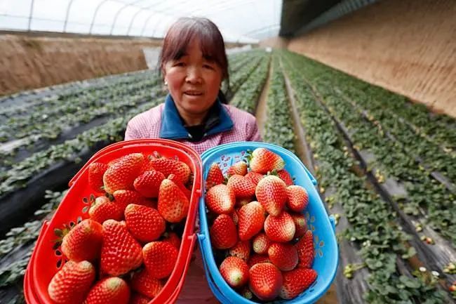 1623929400691042.jpg 6.jpg