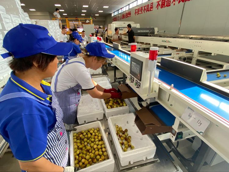 1625102695313338.jpeg 20.jpeg