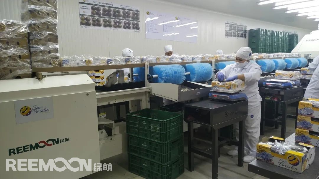 1625538505174505.jpg 1.jpg