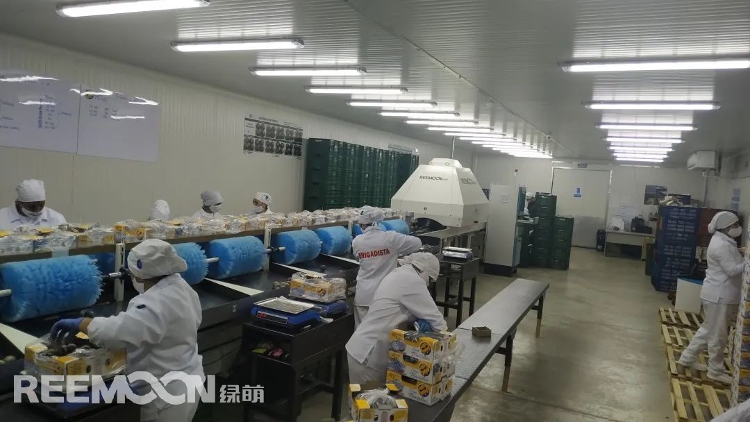 1625538518948572.jpg 2.jpg