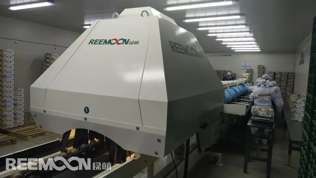 1625538528121216.jpg 3.jpg