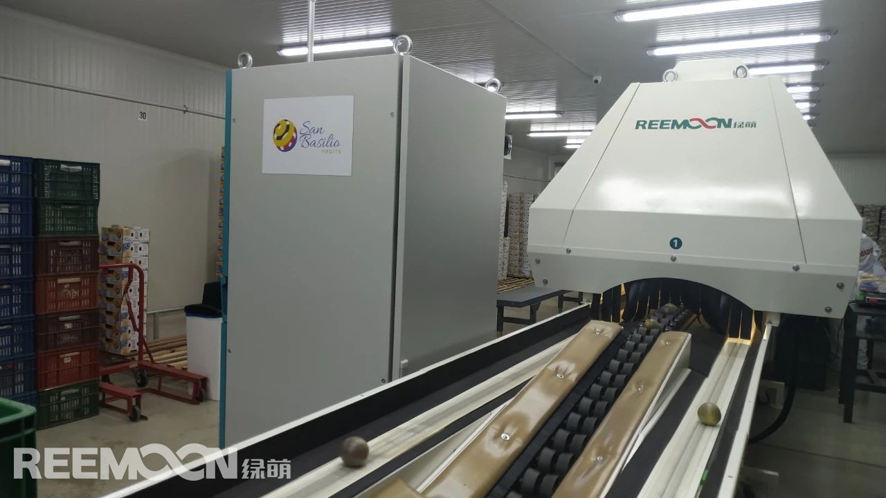 1625538549704102.jpg 5.jpg