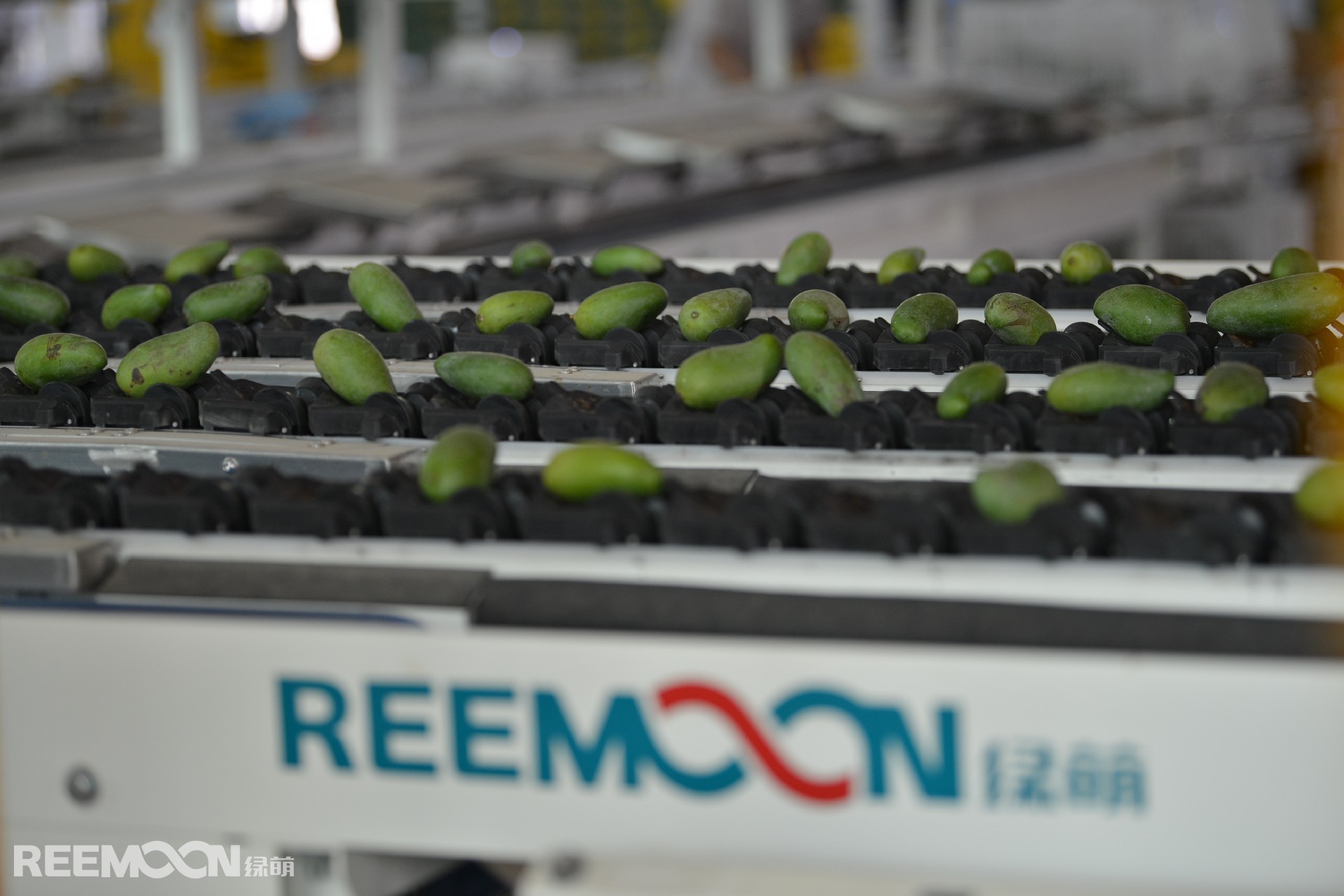 1625823478121001.jpg DSC_5428.JPG