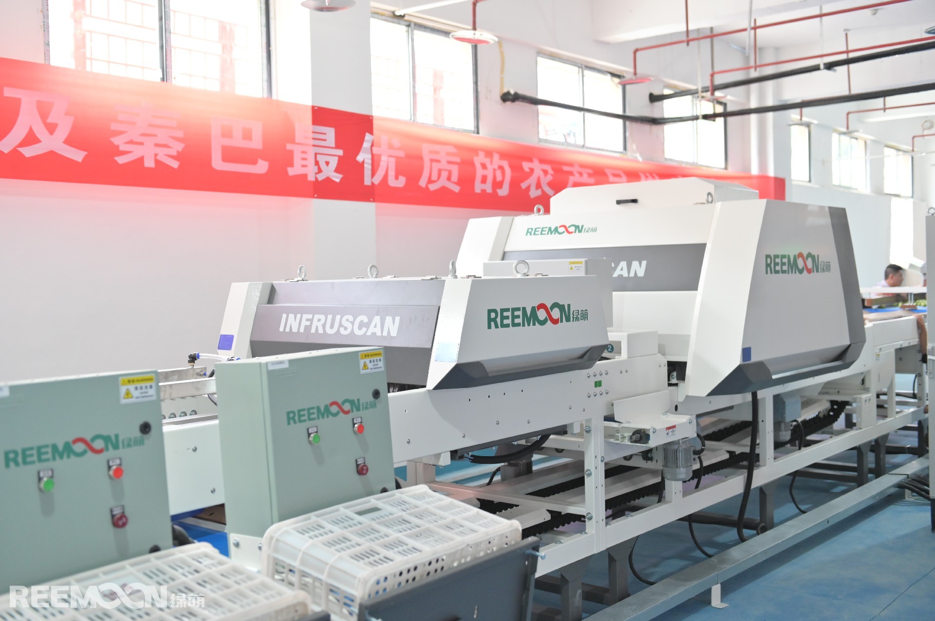 1626062629172178.jpg DSC_4515.JPG