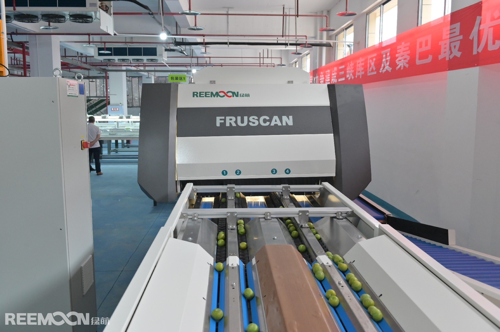 1626062671195569.jpg DSC_4533.JPG