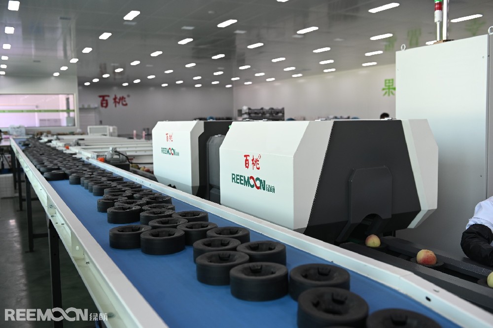 近年來，隨著我國桃種植面積增加，桃市場逐步飽和，市場行情起伏大，單靠采摘后直接售賣，市場上升空間小。隨著消費市場對果品口感及外觀需求的升級，目前我國桃產(chǎn)業(yè)正處于由數(shù)量向質(zhì)量發(fā)展轉(zhuǎn)折的關(guān)鍵時期，在消費升級的壓力下，不論市場行情如何起伏，根據(jù)優(yōu)質(zhì)優(yōu)價法，優(yōu)質(zhì)優(yōu)價是市場經(jīng)濟的基本要求，符合市場發(fā)展規(guī)