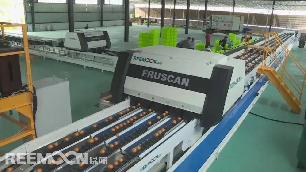 元謀縣黃瓜園鎮(zhèn)依托熱帶水果產(chǎn)業(yè)園區(qū)，引進(jìn)優(yōu)質(zhì)企業(yè)，通過(guò)水果分選智能化，保障了外銷(xiāo)水果的品質(zhì)。（江西綠萌柑類(lèi)分選線）云南云品農(nóng)產(chǎn)品初加工有限公司是黃瓜園鎮(zhèn)通過(guò)招商引資引進(jìn)的一家企業(yè)，公司把水果的“品質(zhì)”作為企業(yè)發(fā)展的核心，引進(jìn)了智能水果分選設(shè)備（該設(shè)備由江西綠萌研發(fā)設(shè)計(jì)）。智能水果分選設(shè)備從重量、大小