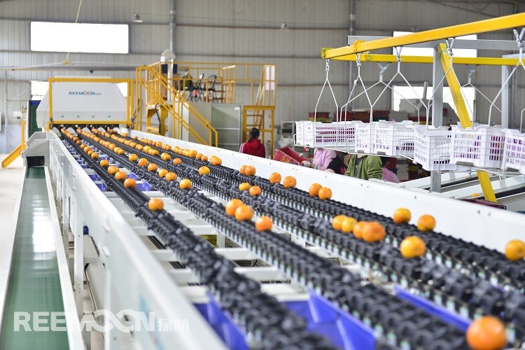 1627990557450459.jpg 2.jpg