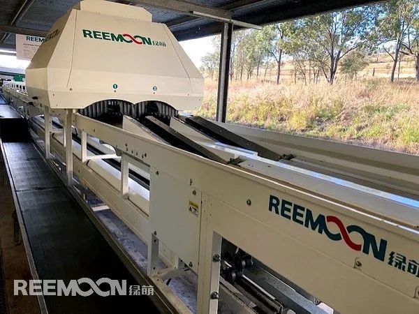 預(yù)分選設(shè)施和最先進(jìn)的分揀機(jī)的引入幫助澳大利亞昆士蘭柑橘種植者實(shí)現(xiàn)了更大規(guī)模的產(chǎn)品包裝，并緩解了勞動(dòng)力短缺的一些影響。位于昆士蘭北部Gayndah的Dermark Pty Ltd（Turnbury Orchard）公司表示，新設(shè)施和機(jī)器已于 2 月完工，正好趕上今年的產(chǎn)季?？偨?jīng)理 Sandy McLay在安裝中介紹了來自領(lǐng)先的國際公司綠萌（Reemoon）的新