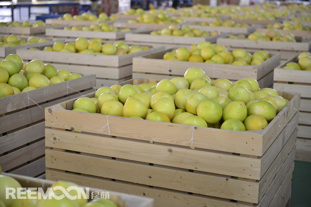 1629279458136773.jpg _DSC3933.JPG