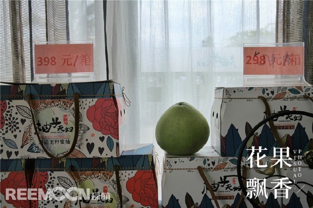 1629279492467503.jpg 價格圖.jpg