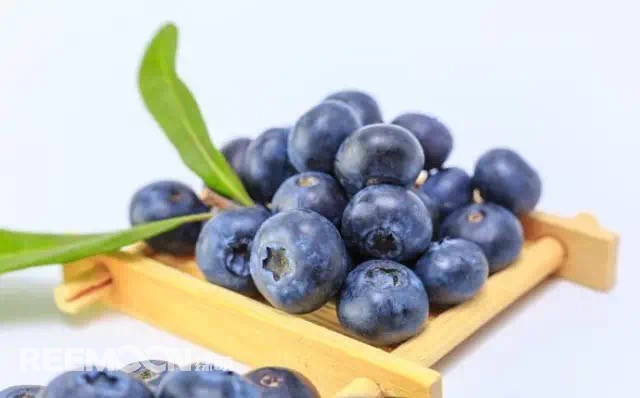 1629803134806787.jpg 22.JPG