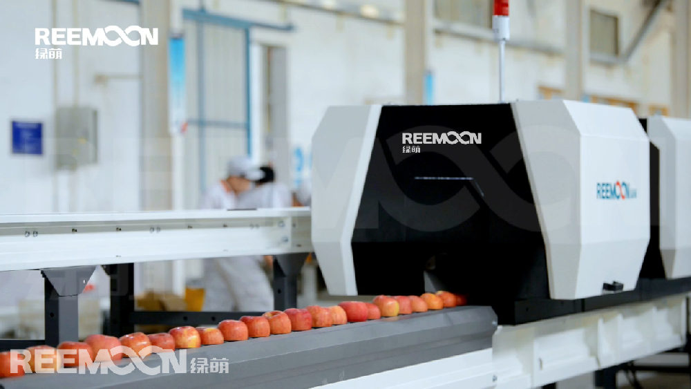 中國(guó)作為世界最大的蘋果消費(fèi)和種植基地，蘋果產(chǎn)量一直占據(jù)全球的近一半的規(guī)模，經(jīng)過(guò)多年的發(fā)展，我國(guó)蘋果種植技術(shù)不斷成熟，蘋果產(chǎn)業(yè)發(fā)展水平不斷提升，中國(guó)正從蘋果生產(chǎn)大國(guó)向蘋果產(chǎn)業(yè)強(qiáng)國(guó)邁進(jìn)。隨著經(jīng)濟(jì)的發(fā)展，勞動(dòng)力紅利時(shí)代已過(guò)，勞動(dòng)力成本增加，蘋果生產(chǎn)成本持續(xù)上升，為迎接挑戰(zhàn)，規(guī)?；麍@越來(lái)越多，采用新的栽培