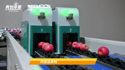 1632817092808694.gif 內(nèi)部品質(zhì).gif