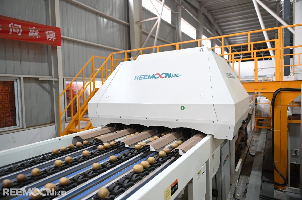 隰有萇楚，猗儺其實。在北緯30度的成都浦江縣，近10萬畝的獼猴桃在風(fēng)中隨枝擺動，仿佛在招手?jǐn)埧汀５锰飒毢竦纳鷳B(tài)環(huán)境，吸引了不少果蔬“收集”者的落戶，新綠之源便是其中之一。在占地面積約60 畝、投資 1.1 億元的成都新綠之源廠房內(nèi)，獼猴桃在綠萌研發(fā)的智能分選線上穿梭，每個獼猴桃都要經(jīng)過全身“體檢”分級，不同等級