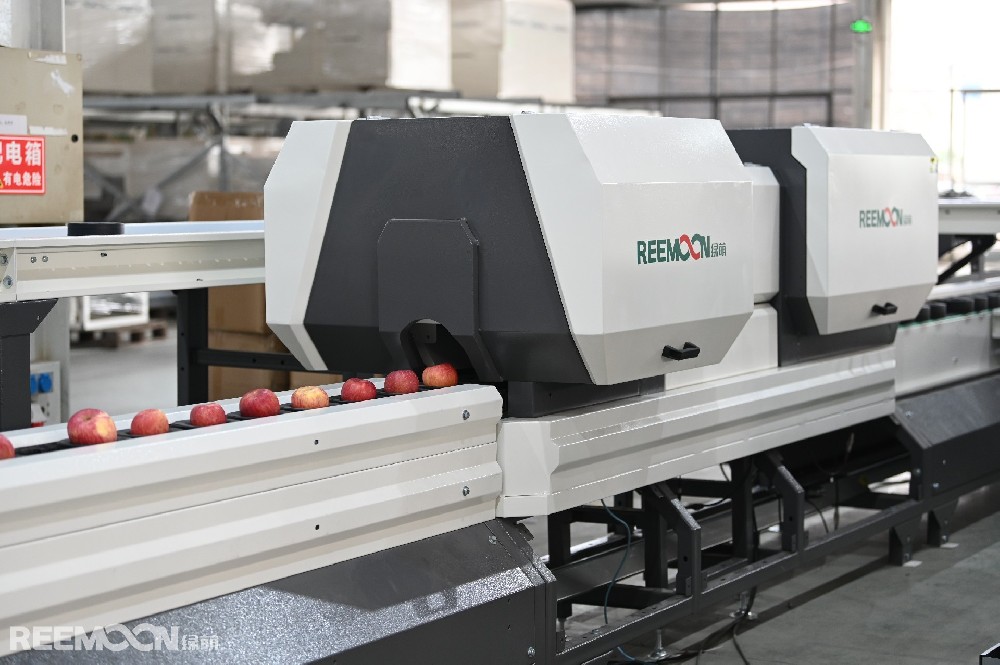 在中國，2018—2020年水果電商零售額分別為745.58億、904.04億、1,295.69億元。2019、2020年水果電商零售額同期增長比分別為21.26%、43.32%，持續(xù)增長趨勢明顯。水果電商以鮮果為主，還包括水果加工品，包括果脯、果干、果酒等。2020年全國水果鮮果網(wǎng)絡零售額為1,295.69億元，水果加工品網(wǎng)絡零售額為352.42億元，占比分別為