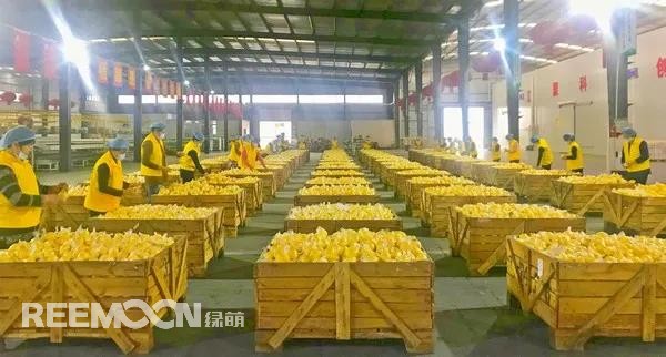 1636593958149838.jpg 2.jpg