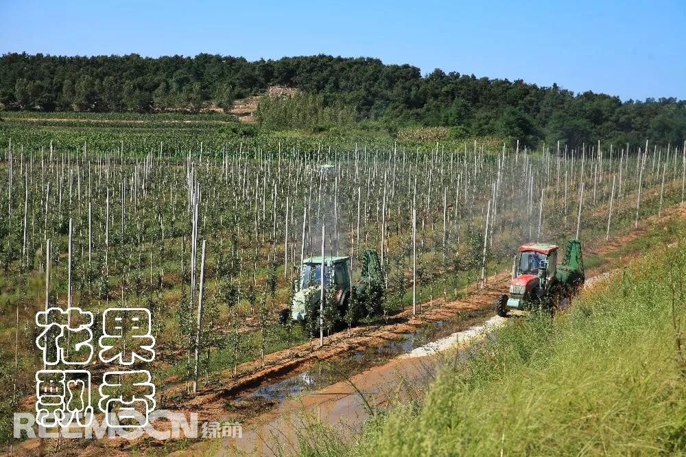 1638515739202232.jpg 全程機(jī)械化的種植模式.jpg